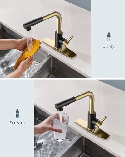 Image of FORIOUS Kitchen Faucets with Pull Out Sprayer, Single Handle, Black Gold