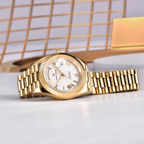 Image of Pagani Design DD40 PD1783 Men's Luxury Automatic AR Sapphire Glass Mechanical Watch Men 10 Bar NH36A Movement