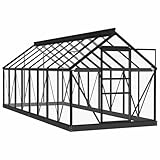 Serre en verre Anthracite 155x395,5x191 cm Aluminium