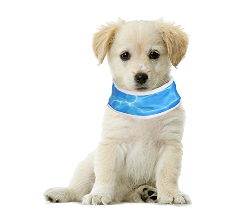 Mediawave Store Collare refrigerante per Cani in 4...