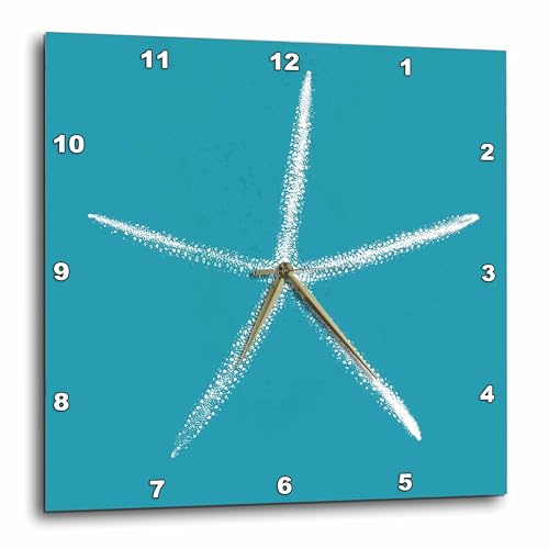 3dRose Wall Clock Silent - 10 inch - Pretty White Starfish on Teal Background - Nautical Designs