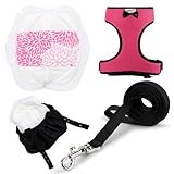 Yesito Harnais poule taille poule avec laisse assortie de 1,8 m – Réglable, résistant, confortable, respirant, grande taille, convient aux poules pesant environ 3 kg, rose