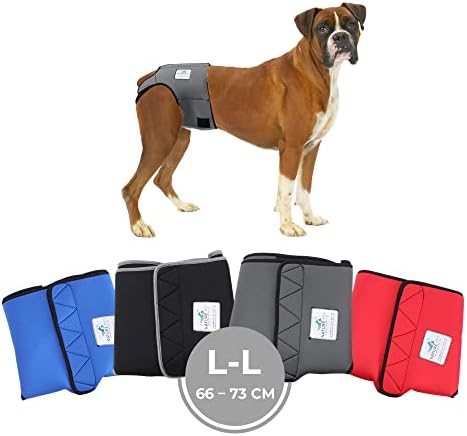 Pet Parents Hundewindeln Waschbar – 3er Set, Größe Large, Mit Verlängerungen, Für Hündinnen & Rüden, Camo-Farbe