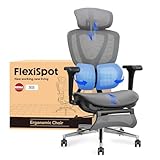 FLEXISPOT Ergonomischer Bürostuhl mit Dual-Wing-Lendenstütze, 3D-Kopfstütze & Armlehnen, Verstellbarer Sitztiefe, Rückenlehne, & ausziehbarer Fußstütze, Arbeitsstuhl für Büro & Home Office (Grau)