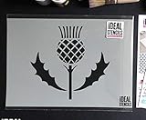 Highland Thistle Motif Decor Stencil | Reusable Home Wall Decor, Art & Craft Stencil | Paint Walls Fabrics & Furniture (L/ 37X40CM)