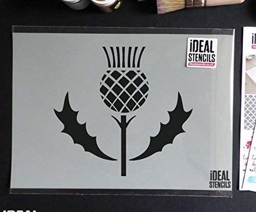 Highland Thistle Motif Decor Stencil | Reusable Home Wall Decor, Art & Craft Stencil | Paint Walls Fabrics & Furniture (L/ 37X40CM)