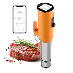 INKBIRD WiFi sous-vide stick ISV-101W
