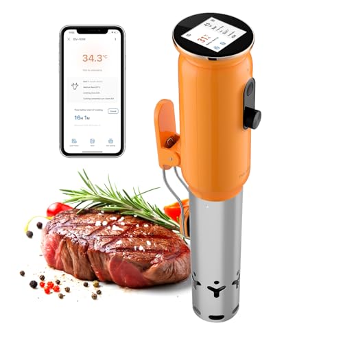 INKBIRD Wifi Sous Vide Roner 1000W, WLAN Professionali Roner Cucina, 0-90℃ Cottura Bassa Temperatura: TFT, Riscaldamento a Circolazione Dell'Acqua 3D, Menu Preimpostati Dell'App e Timer, Preciso 0,1°C