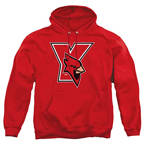 York College Official Distressed Primary Logo Unisex Adult Pull-Over Hoodie,York College, 2X-Large