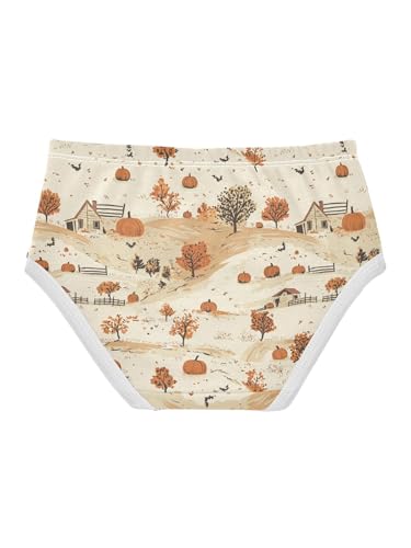 ZZKKO Fall Farmhouse Pumpkin Girls Underwear Toddler Panties for Girls Comfort Brief Size 2T2