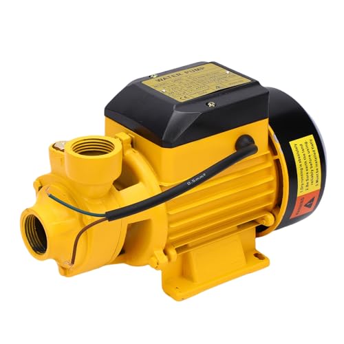 Luocute Kreisel-Wassertransferpumpe, 650 W, 35 M Hub, 40 L/min Durchflussrate, 1 Zoll Einlass, Auslass, Peripheralpumpe 3400 U/min für die Druckbewässerung Im Haushalt