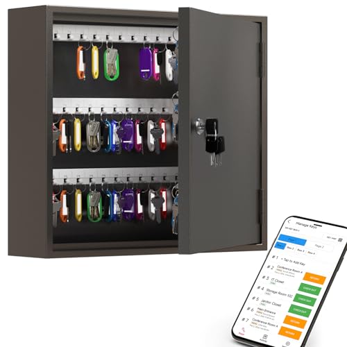 WeHere 60-Key Wall Mount Lock Box with Color Tags
