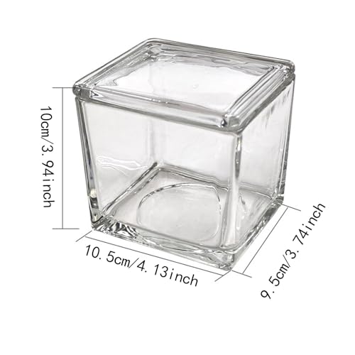 Evita errores de tinción con el frasco de vidrio rectangular de 550 ml 7