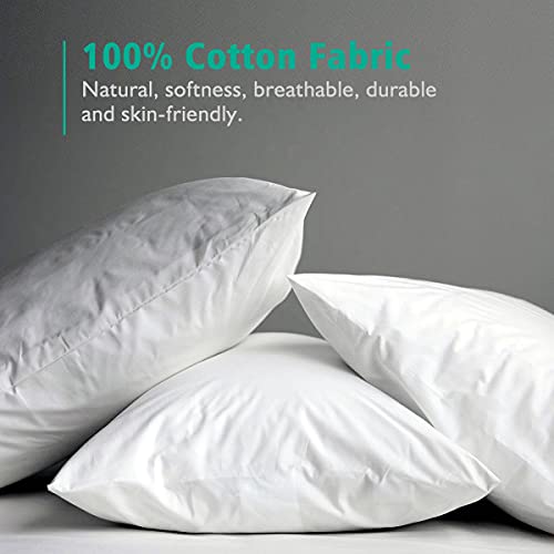 Apsmile 20X20 Goose Down Feather Throw Pillow Inserts 2 Pack - Premium Soft Cotton Euro Square Decorative Pillow Core Set For Bed, Sofa, Couch, Ivory White #TOP4