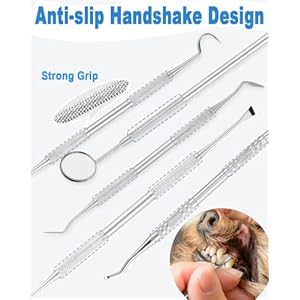 Teeth-Cleaning-Kit-Dog-Plaque-Tartar-Remover-Tools-Pet-Dental-Tooth-Scaler-and-Scraper-Silicone-Finger-Toothbrush-for-Puppy-Cats-Tooth-Pick-Stone-Remover-Dogs-Oral-Care-Hygiene-Cleaning-Tools-12Pcs - Cucciolini Doodles   Teeth-Cleaning-Kit-Dog-Plaque-Tartar-Remover-Tools-Pet-Dental-Tooth-Scaler-and-Scraper-Silicone-Finger-Toothbrush-for-Puppy-Cats-Tooth-Pick-Stone-Remover-Dogs-Oral-Care-Hygiene-Cleaning-Tools-12Pcs