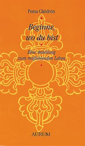 Beginne, wo du bist: Eine Anleitung zum mitfühlenden Leben