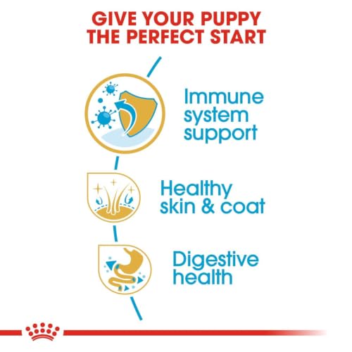 Image of Royal Canin Cocker Puppy, Dry Food, 3 kg