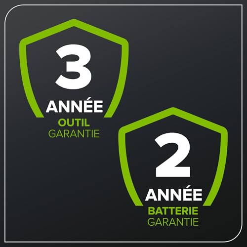 Greenworks 24V Scie à Chaîne Sans Fil Brushless, Scie Électrique 25cm avec Batterie 2Ah et Chargeur USB C 30W, Graissage Automatique, Vitesse de Chaîne 7.8m/s