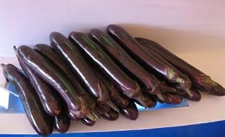 Organic Chinese Eggplant Vegetable Seeds, Grows Faster (5 Seeds) SD0236