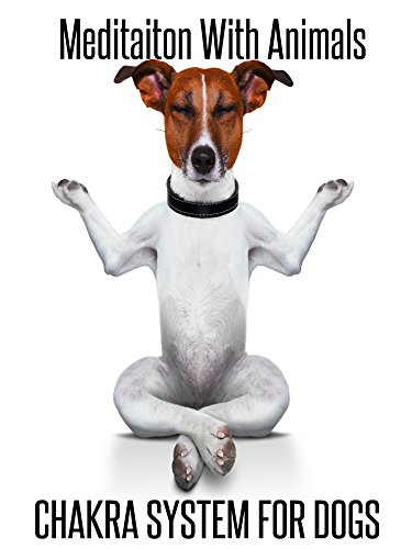 Chakra System For Dogs : Animal Meditation