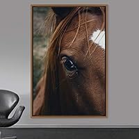 Framed Canvas Wall Art Horse Animals Dramatic Farmhouse/Country Horse Living Room Multicolor Photography - 16x24 inches