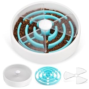 Slow Feeder Dog Bowls, Maze Dog Food Puzzle Feeder for Dry Food/Wet Food/Raw Food, Non-Slip Interactive Dog Feeder for Large/Medium/Small Dogs