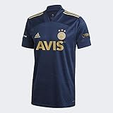 Offizielles Lizenzprodukt Heimtrikot Fenerbahce Istanbul 2020–2021, gestreift/blau, Herren-Trikot, blau, L