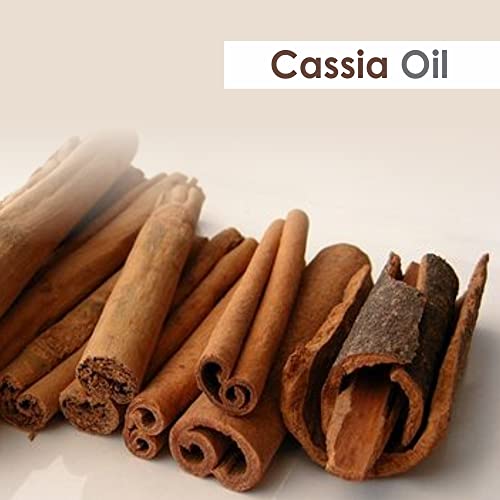 Image of Crysalis Cassia (Cassia) Oil|100% Pure & Natural Undiluted Essential Oil Organic Standard For Skin & Haircare|Therapeutic Grade Oil, Healthy Skin & Hair-30ML With Dropper