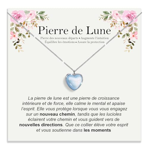 Bramart Collier Pierre de Lune Naturelle Cadeaux pour Elle en Argent Sterling 925 Idée Cadeau pour Fille Noël Anniversaire Colliers Fille Maman Sœur – Coffret avec...