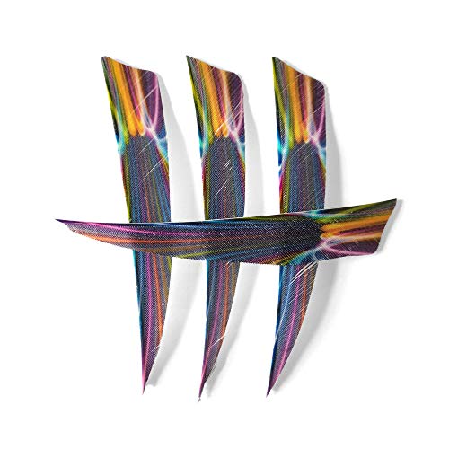 Ameyxgs 50Pcs Archery Arrow Feather 4 Inch Natural Turkey Faether Colorful Arrow Fletches Right Wing Hunting Shooting Target Arrow Accessory (Color 4) #TOP6