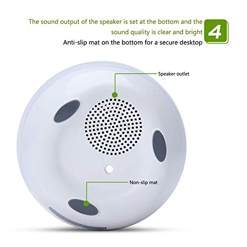 Vaso di Pianta, Fioriera con Altaparlante