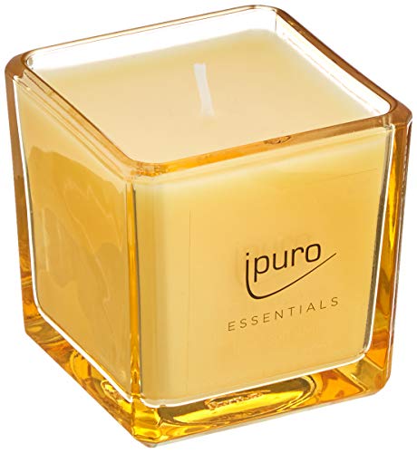 ipuro - Candela profumata decorativa ipuro soft vanilla – Candele profumate minimalista e puristiche in vetro – Candele profumate intense con fine vaniglia del Madagascar – Elegante candela da 125 g