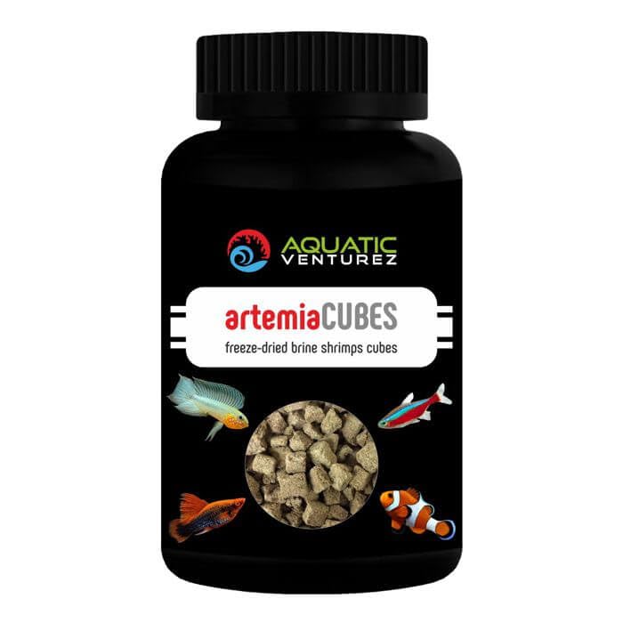 Aquatic Venturez Artemia Cubes | Size: 20 Grams | Aquarium Freeze Dried Fish Food | Indian Fish Monsters (IFM) (B0CH5HW1PB) Amazon Price History, Amazon Price Tracker