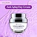 Clear Beauty Collagen Daily Face Moisturizer - Dermatologist Tested, Reduces Wrinkles, Fine Lines, Hydrating, Anti-Aging, Clean Beauty, Cruelty-Free Korean Skin Care - All Skin Types - 1.69 oz