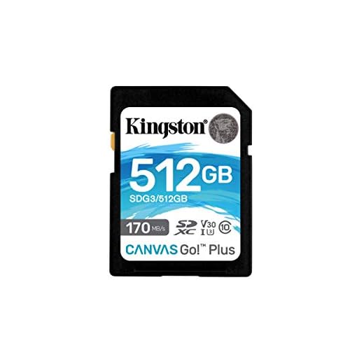 Sdg3/512GB - Cartão De Memória Padrão Sd De 512GB Canvas Go Plus (Leitura = 170Mb/S) Classe 10 U3 V30