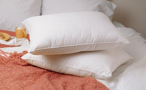National Sleep Products Luxury Soft Goose Down Standard-Size Pillows (Set of 2)