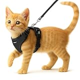 Buraq No Pull Cat Harness with Leash, Escape Proof, Ultra-Light Weight, Air Mesh Fabric, Aesthetic Design Adjustable Cat Leash with Harness (XXS - Black)