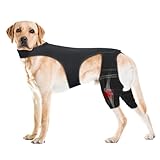 Pawfun Dog Knee Brace for Hind Legs – Adjustable Dual Dog Leg Brace for Back Leg Helps with Torn ACL/CCL, Luxating Patella, Ligament Injuries, Osteoarthritis,S