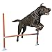 Agility Hurdle - Dog play & exercise toy