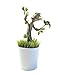 Uncle Milton Marvel Guardians of the Galaxy Grow and Glow Groot - Baby Groot Flower Pot