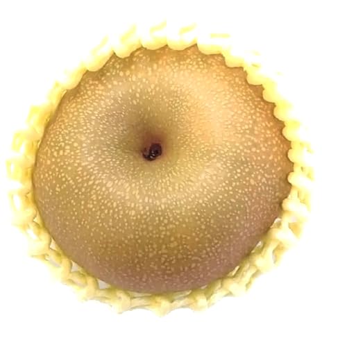 ライフコーポレーション 栃木・茨城産など国内産 栃木産など 幸水梨(大玉) 1玉のサムネイル