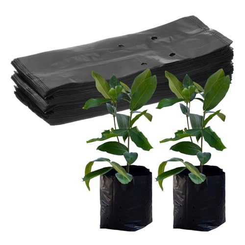 M METERXITY 100-Pack Nursery Growing Bags, 6.7" x 9.8" Thicken Plastic Nursery Bags