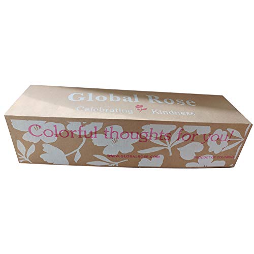 Globalrose Fresh Flowers- 100 Assorted Carnations- Beautiful Gift For Birthday thumb #6