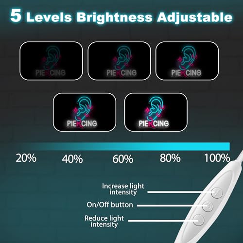 Ears Piercing Neon Sign - Dimmable USB Neon Earrings & Neon Lights for Wall Decor, Ideal for Tattoo Studios, Piercing Shops, Social Media Backdrops & Gifts