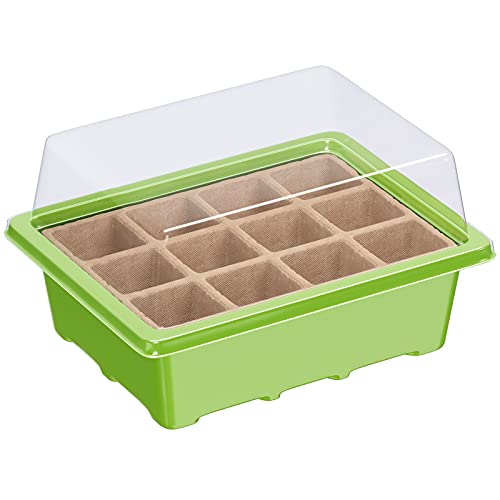 WELLGRO Mini szklarnia z 6 tabliczkami na rośliny – do 12 roślin – 19 x 14,5 x 11 cm, tworzywo sztuczne/celuloza, 3 sztuki