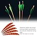 PATIKIL Shield Cut Vanes, 20 Pack 4 Inch Arrow Fletch Turkey Feather Fletch Right Wing Fletching for DIY Target Shooting, Orange