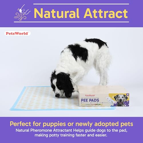 Image of PETSWORLD Giant Dog Potty Pads, Odor-Eliminating, 36 inch x 36 inch, Ultra Absorbent 5-Layer Leak-Proof Training Pads for Dogs & Cats (36x36 Health Indicating, 100 Count)