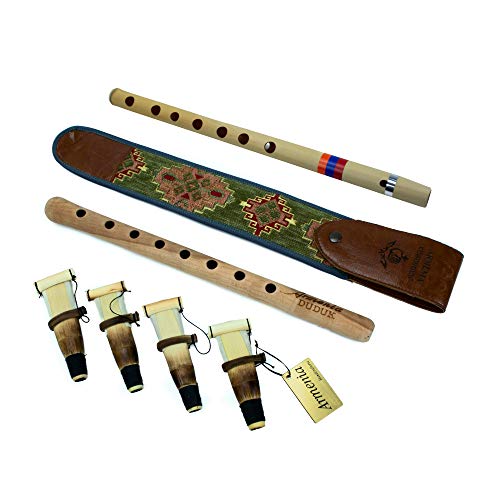 Semi-Professional ARMENIAN DUDUK MEGA PACK with 4 reeds - professional handmade Oboe Balaban Woodwind Instrument Apricot Wood National case - GIFT Armenian flute with Playing Instruction