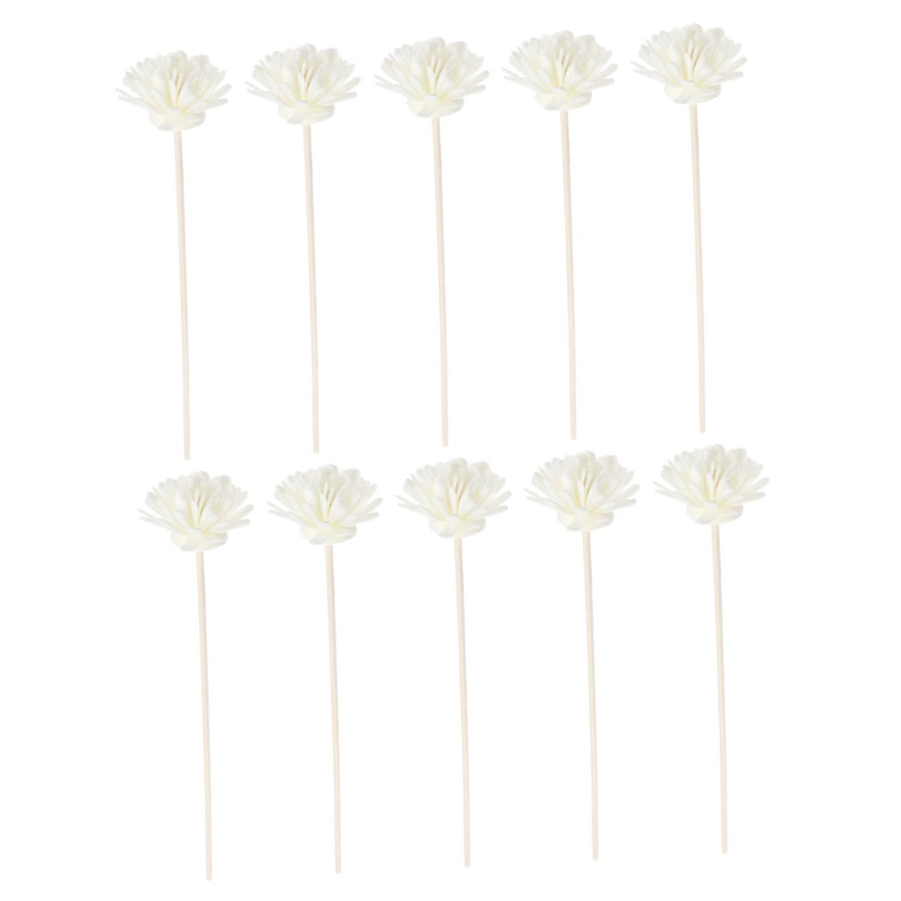 Healifty 10Pcs Diffuser Sticks Straight Aromatherapy Sticks for Home Fragrance Elegant Design for Bedroom Living Room and Car Decor Enhances Scents and Relaxation