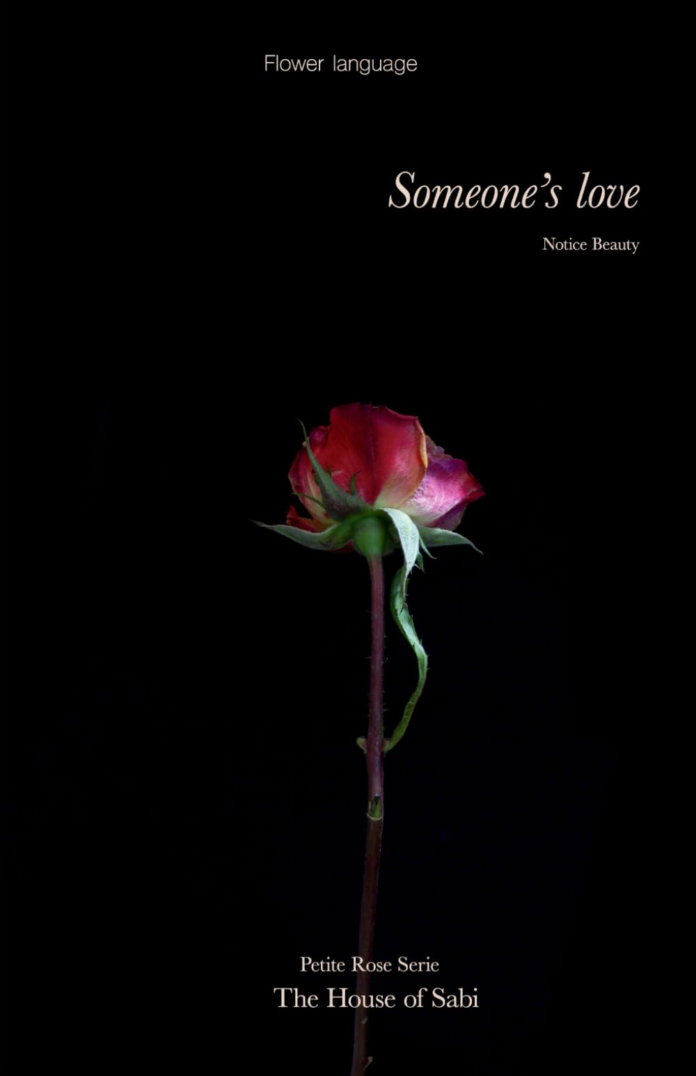 Someone’s love: Notice Beauty